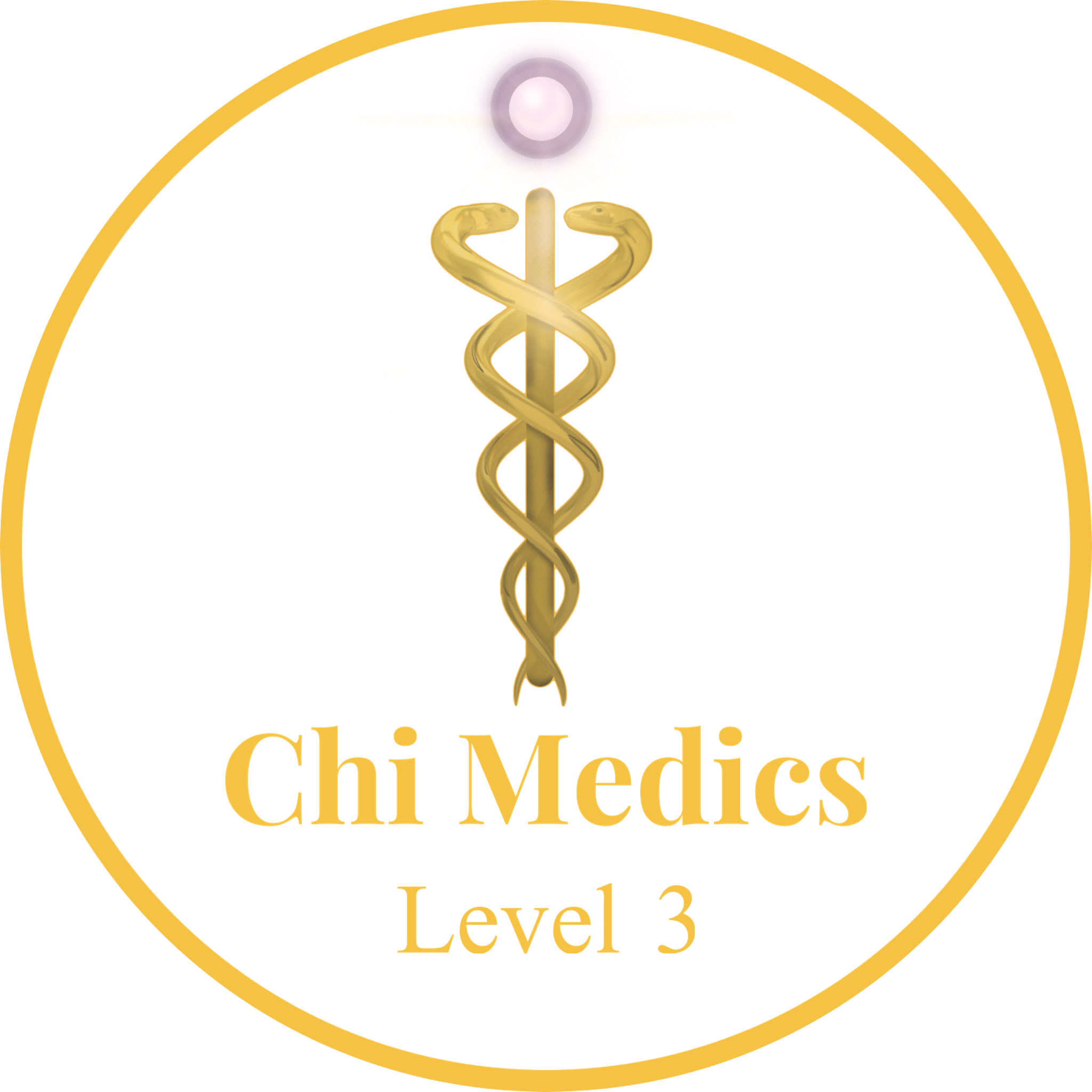 Level 3 Chi Medics